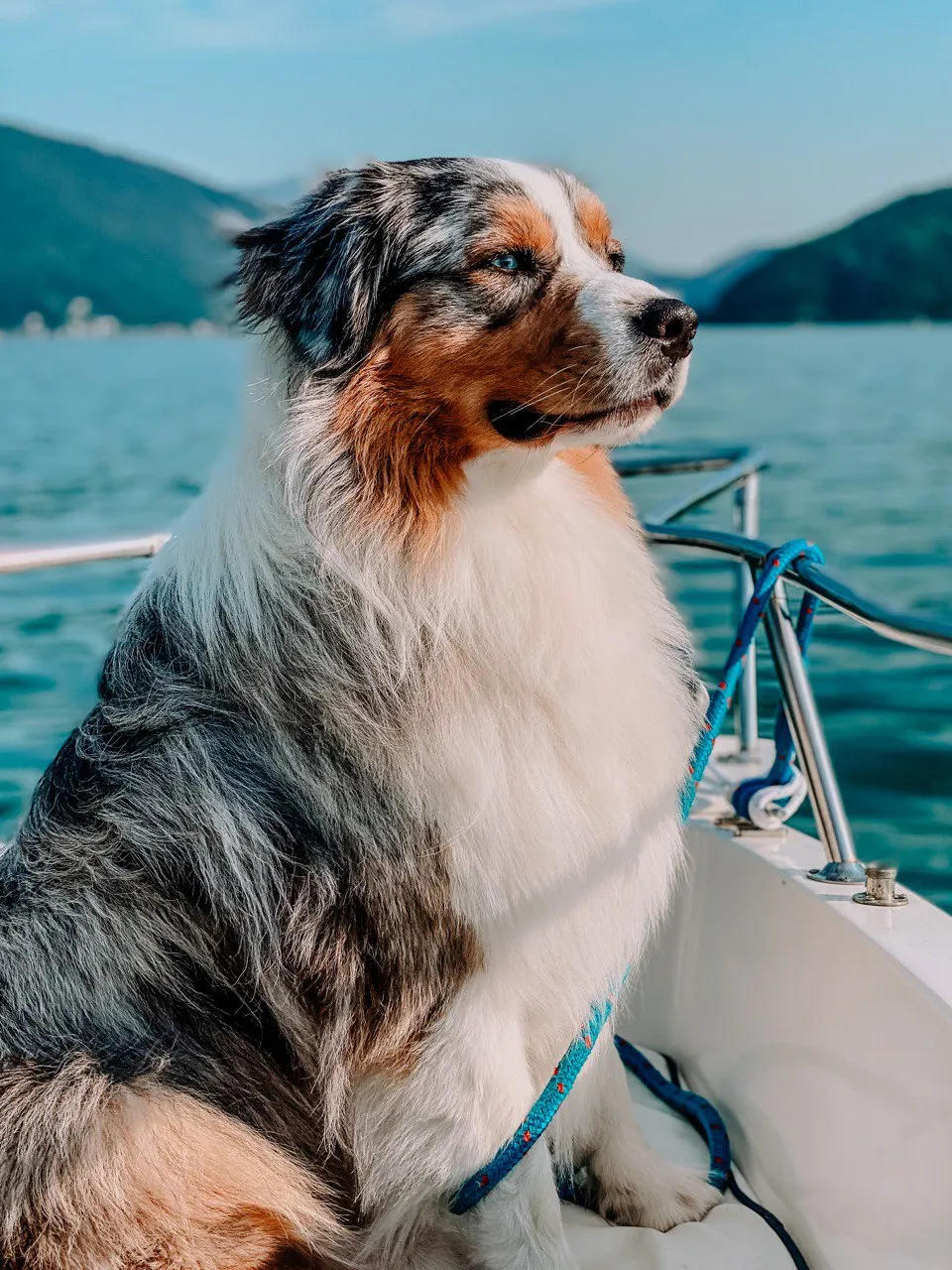 Photography by Jessica Mondini