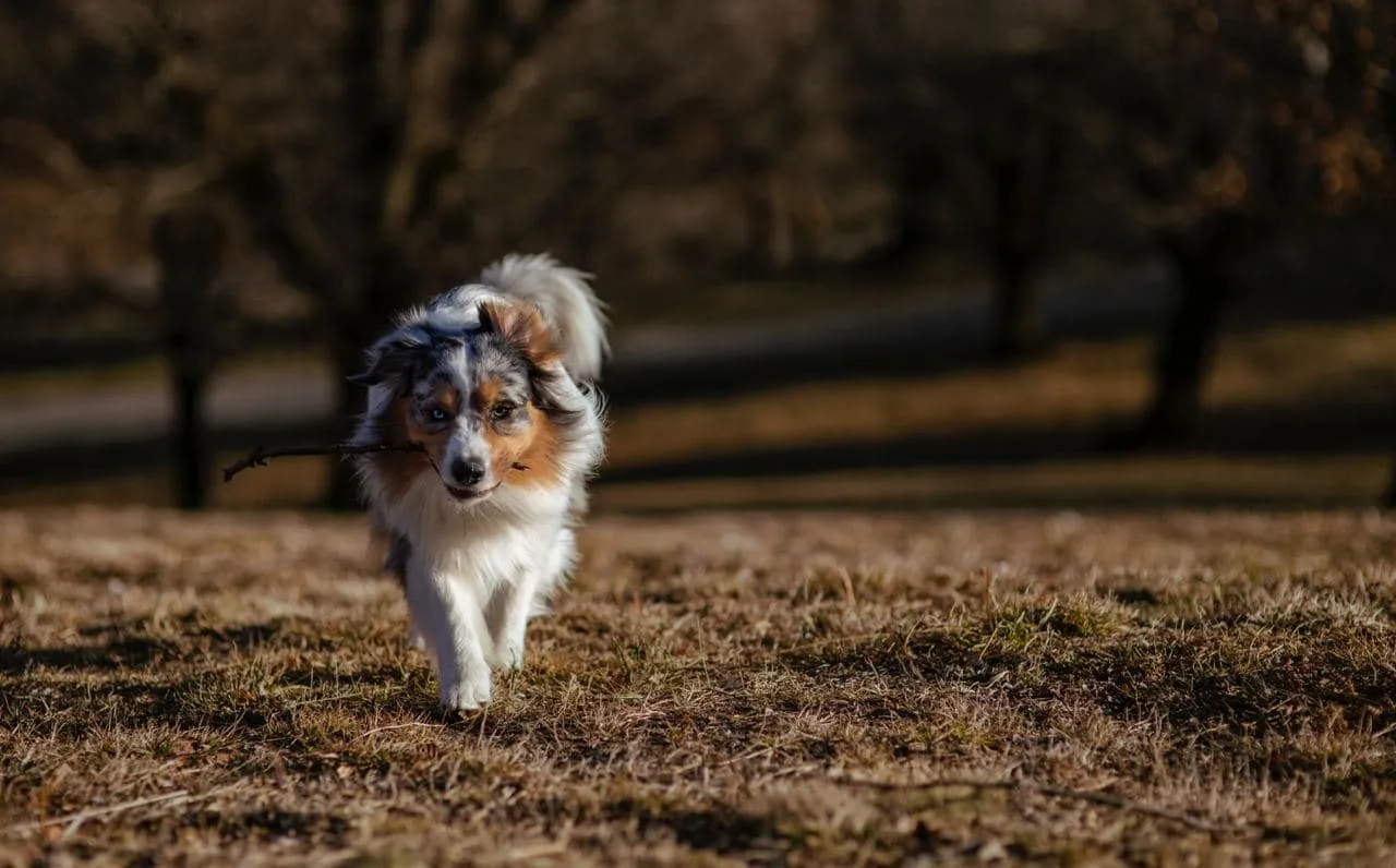 Photography by Jessica Mondini