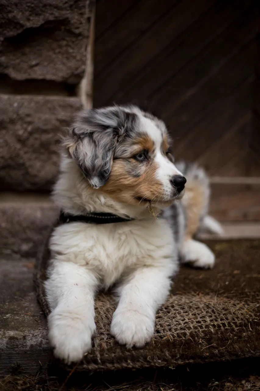 Photography by Jessica Mondini