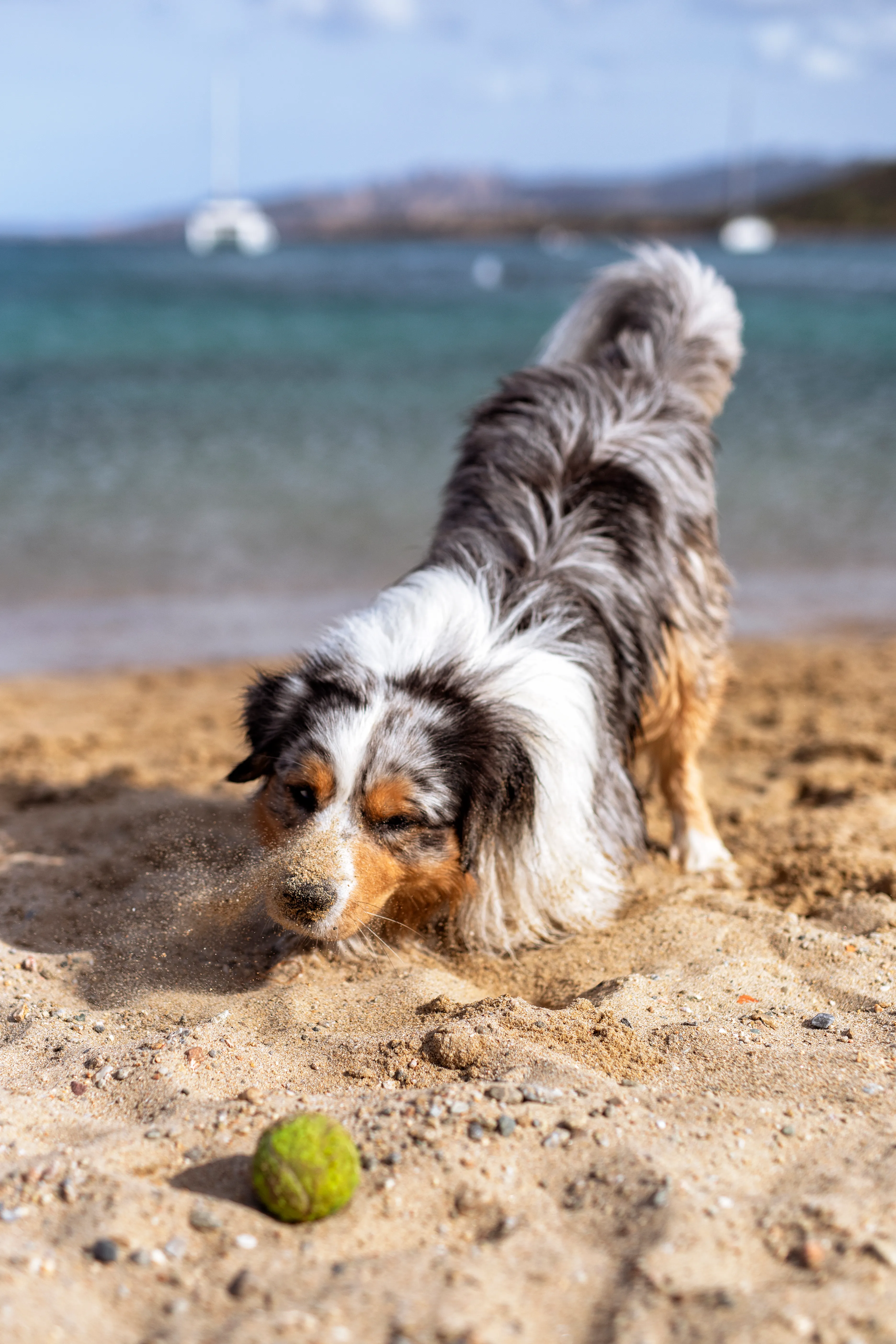 Photography by Jessica Mondini