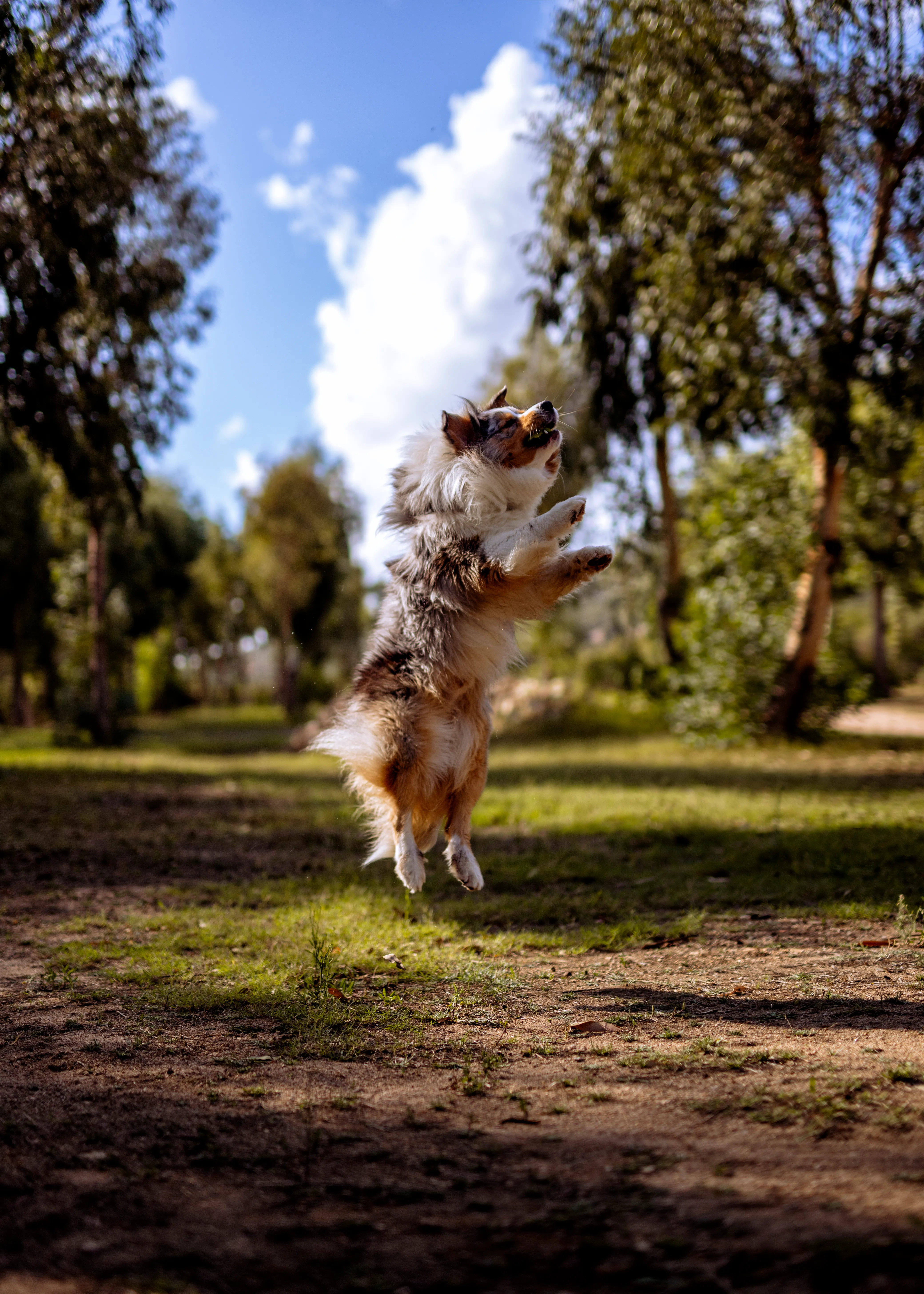 Photography by Jessica Mondini