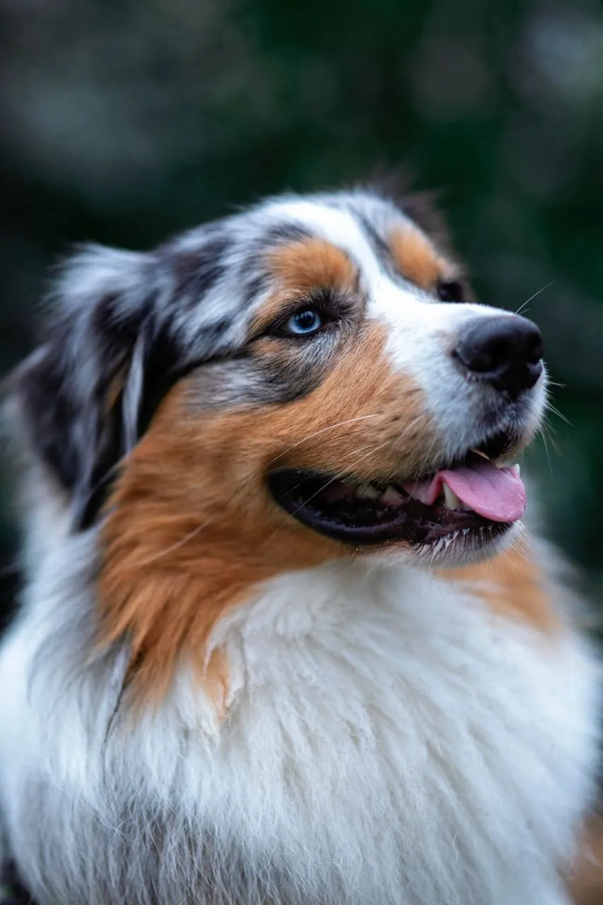 Photography by Jessica Mondini