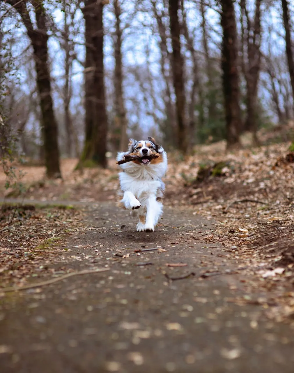 Photography by Jessica Mondini