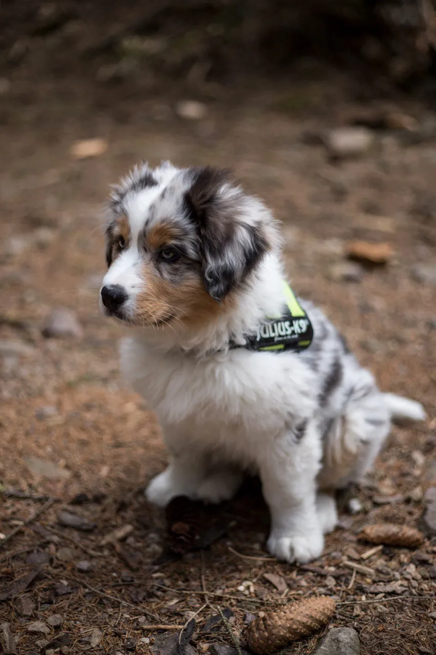 Photography by Jessica Mondini