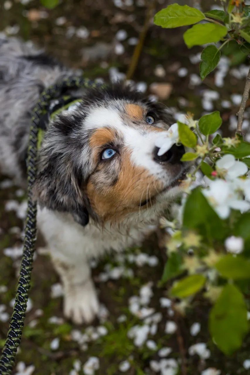 Photography by Jessica Mondini