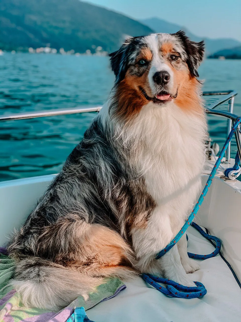 Photography by Jessica Mondini